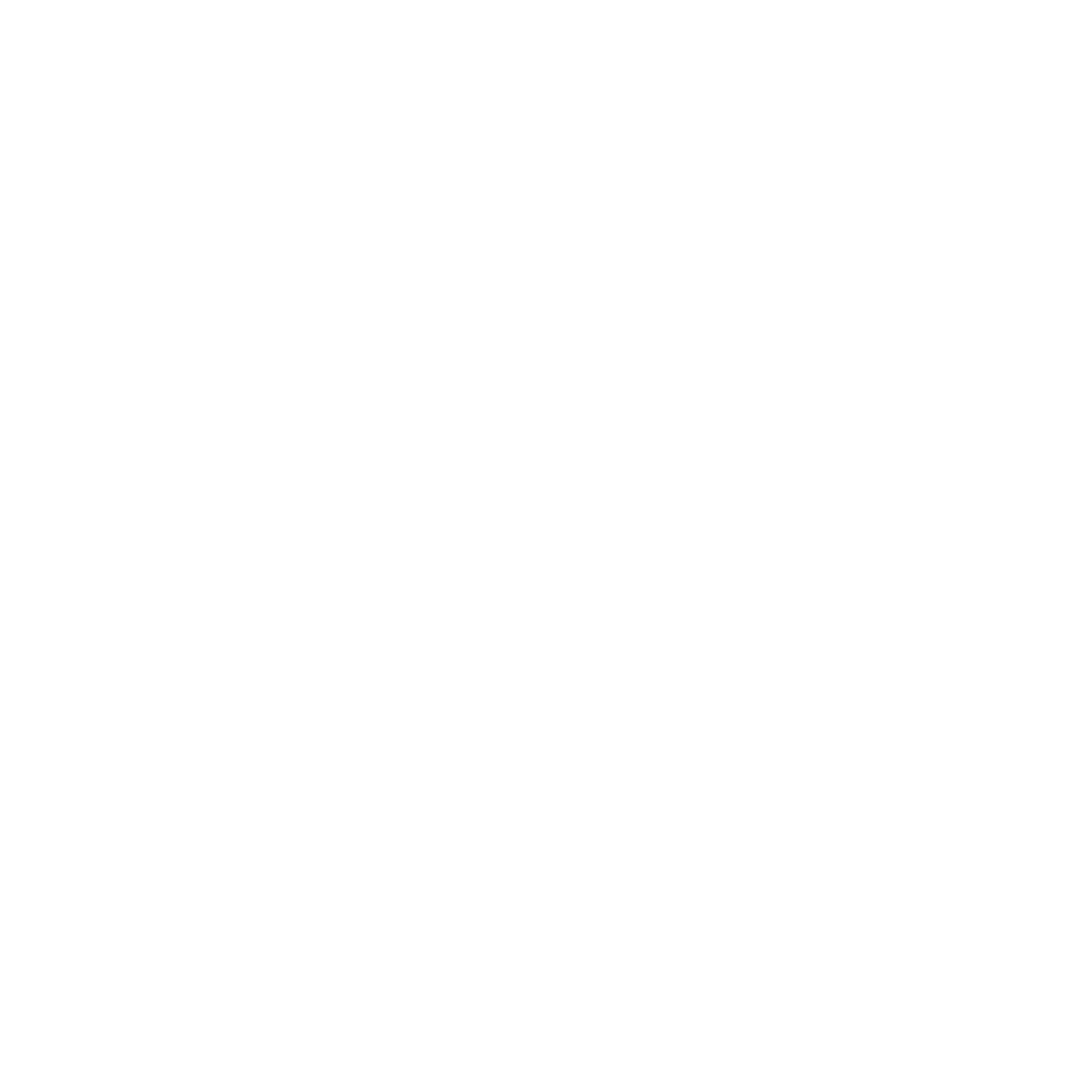 fempowerment foundation logo